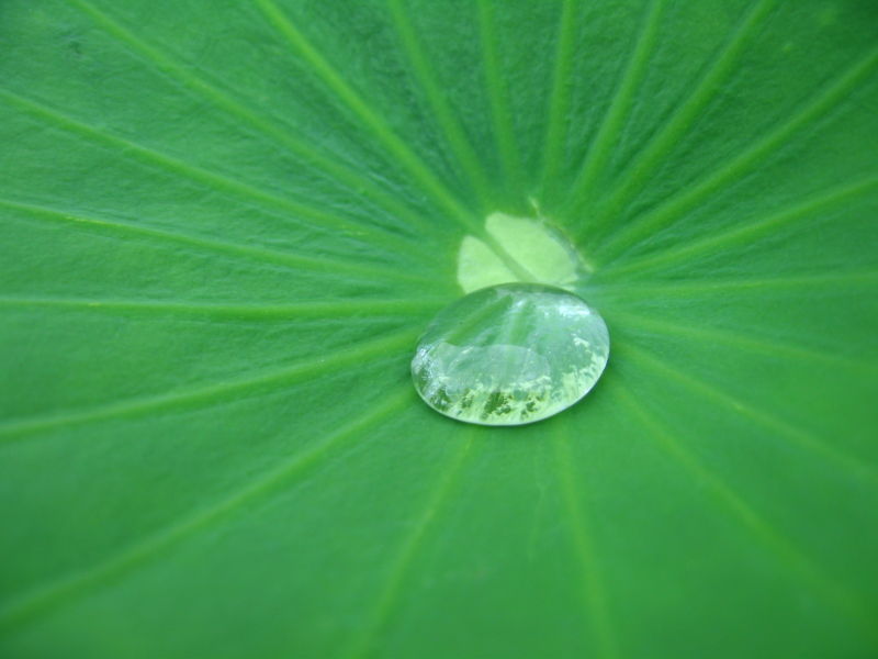 紡織品防水劑中的“防水”原理