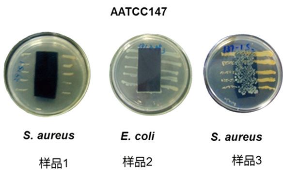 圖1  AATCC 147測(cè)試結(jié)果